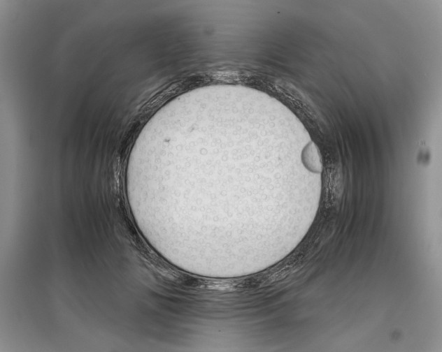 X0000097300702200803141532