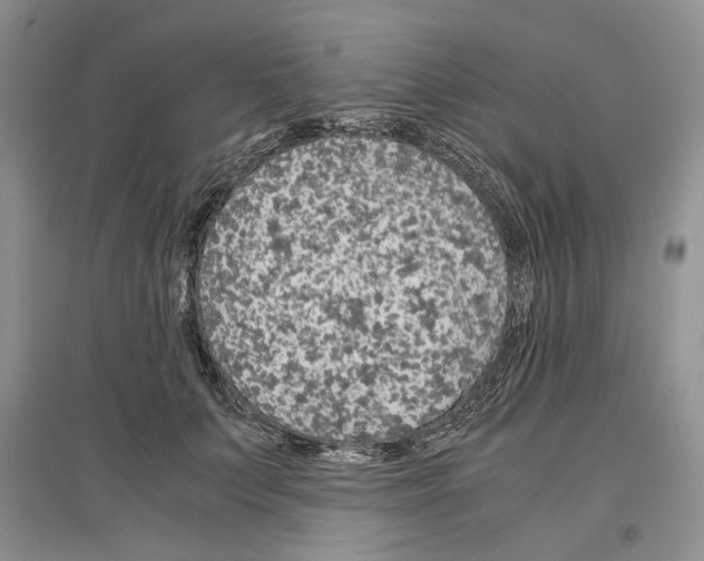 X0000097300703200803141532