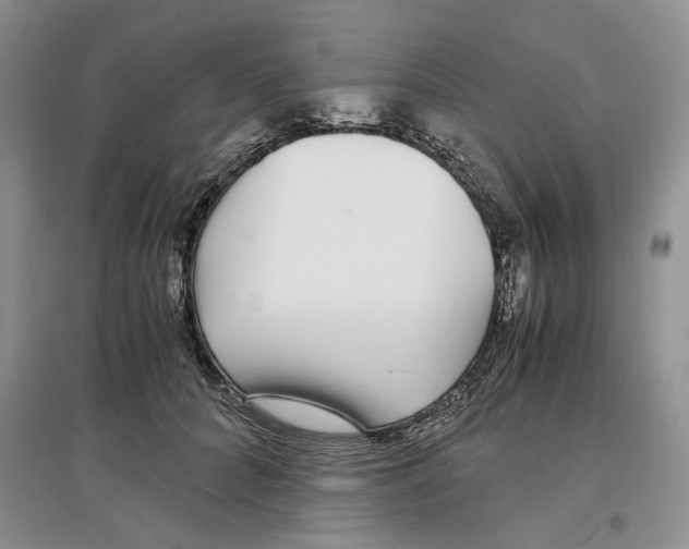 X0000097300704200803141532