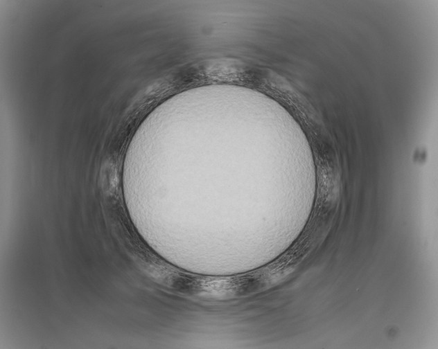 X0000097300705200803141532