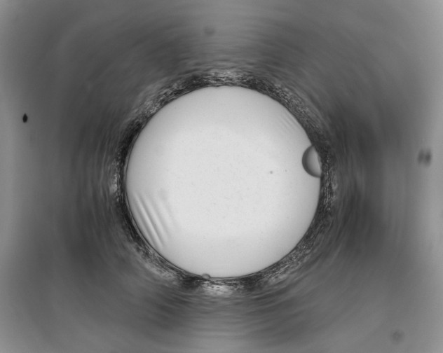 X0000097300706200803141532