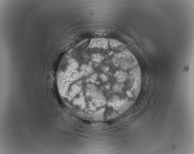 X0000097300707200803141532
