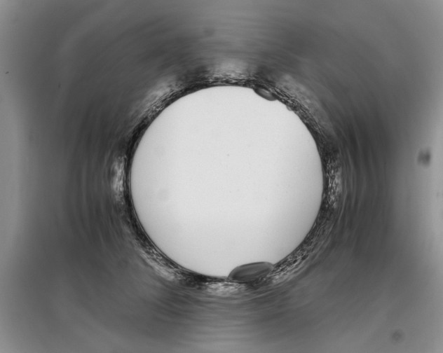 X0000097300708200803141532