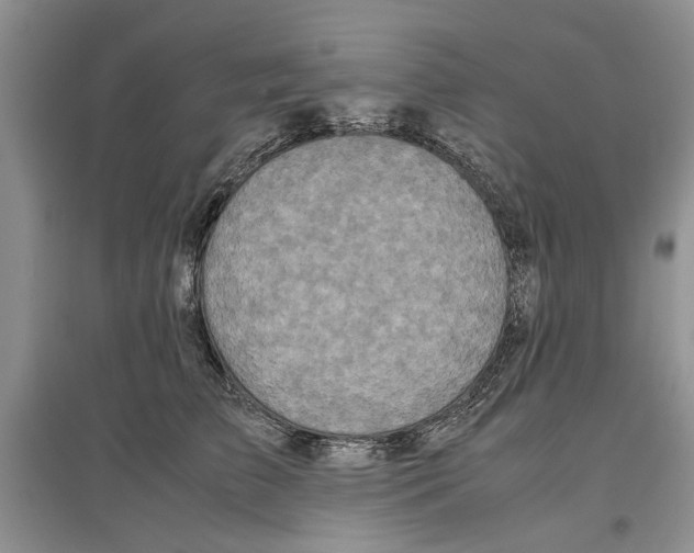 X0000097300709200803141532
