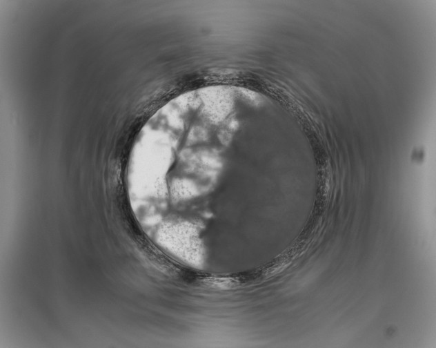 X0000097300711200803141532