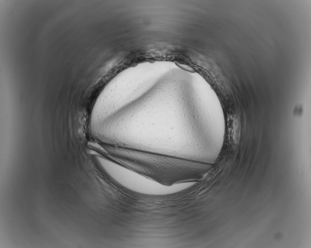 X0000097300712200803141532