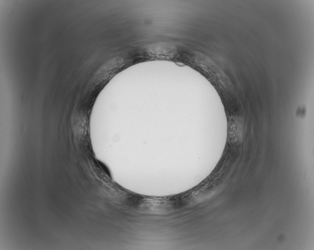 X0000097300713200803141532