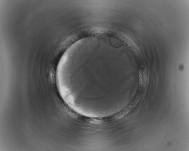 X0000097300718200803141532