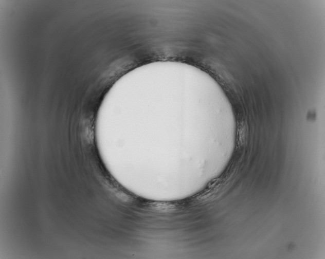 X0000097300719200803141532