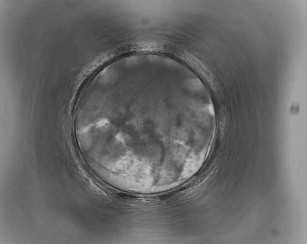 X0000097300721200803141531