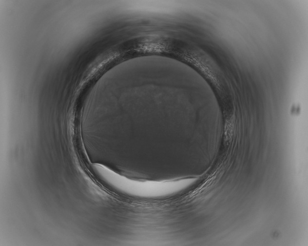 X0000097300722200803141531