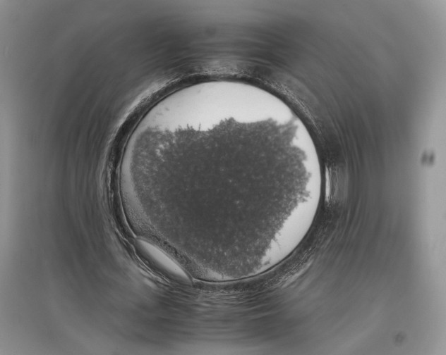 X0000097300723200803141531