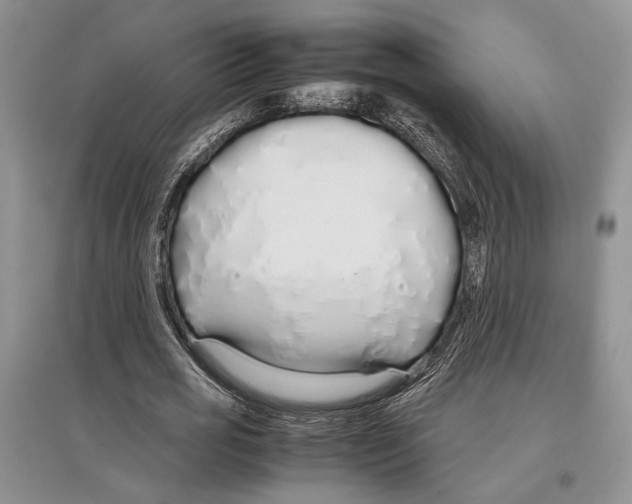 X0000097300725200803141531