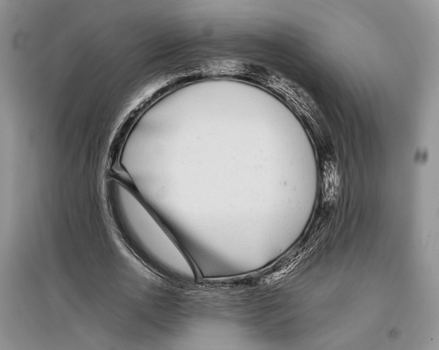 X0000097300726200803141531
