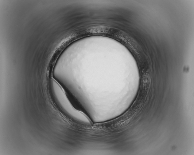 X0000097300727200803141531