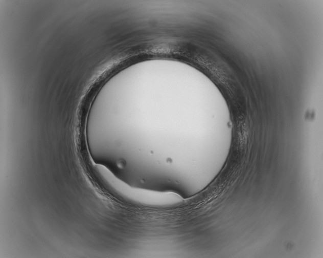 X0000097300728200803141531