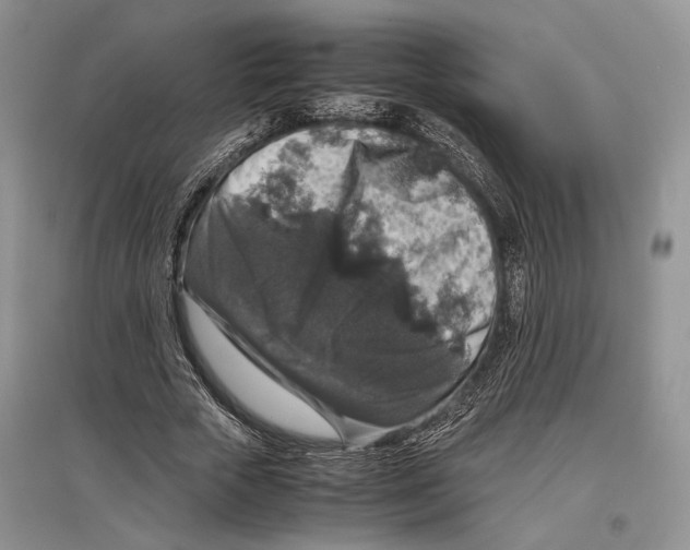 X0000097300729200803141531