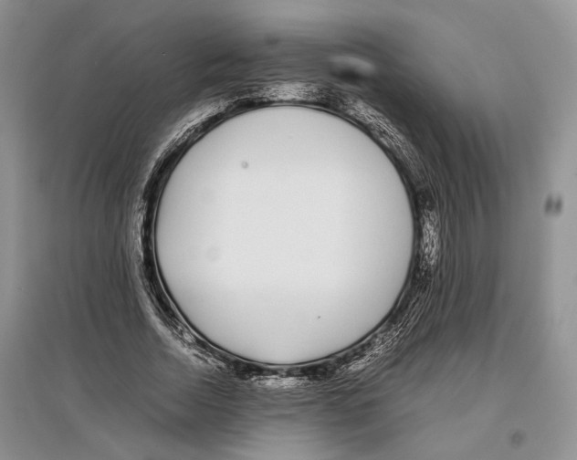 X0000097300730200803141531