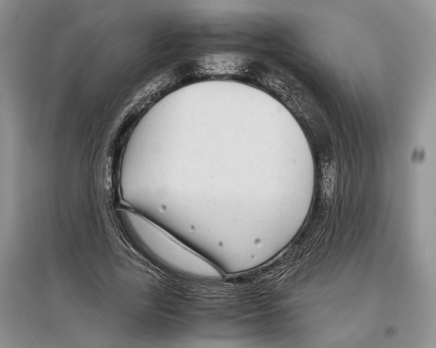 X0000097300731200803141531