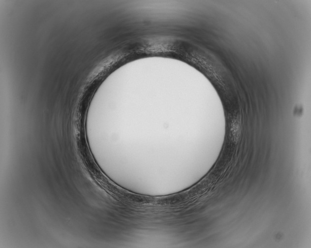 X0000097300732200803141531