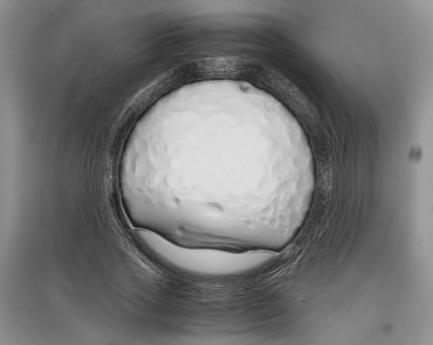 X0000097300733200803141531