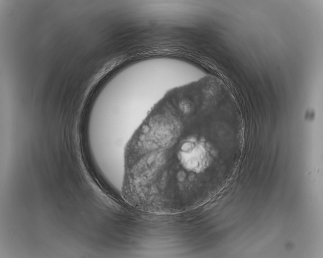 X0000097300734200803141531