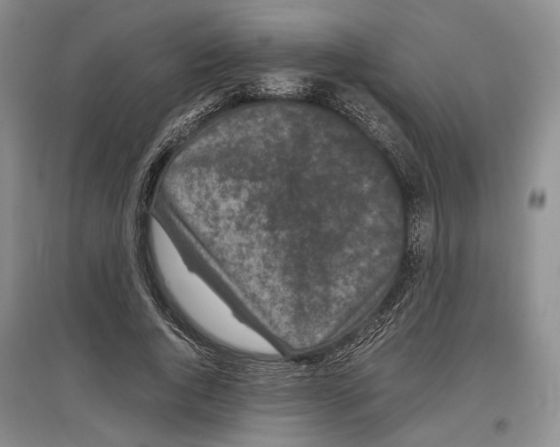 X0000097300736200803141531