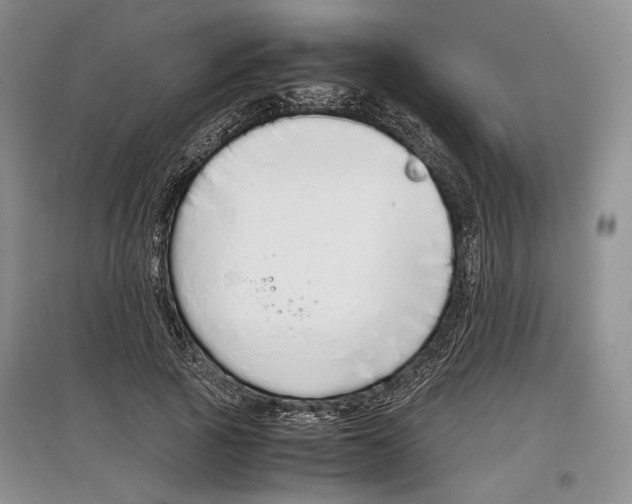 X0000097300737200803141531