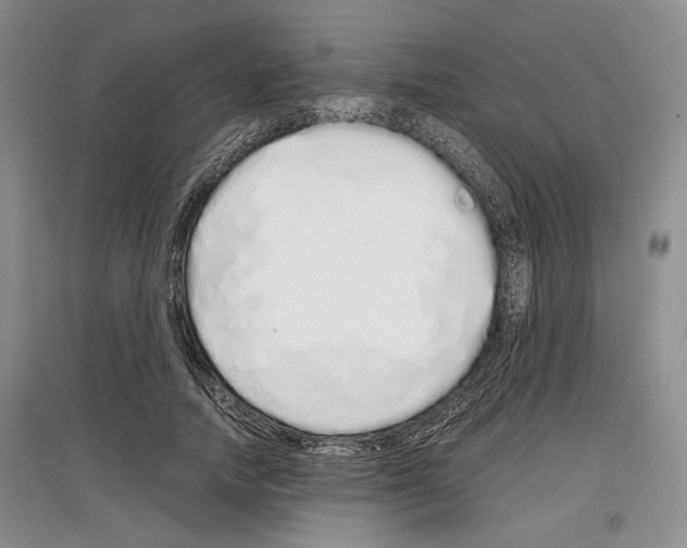 X0000097300738200803141531