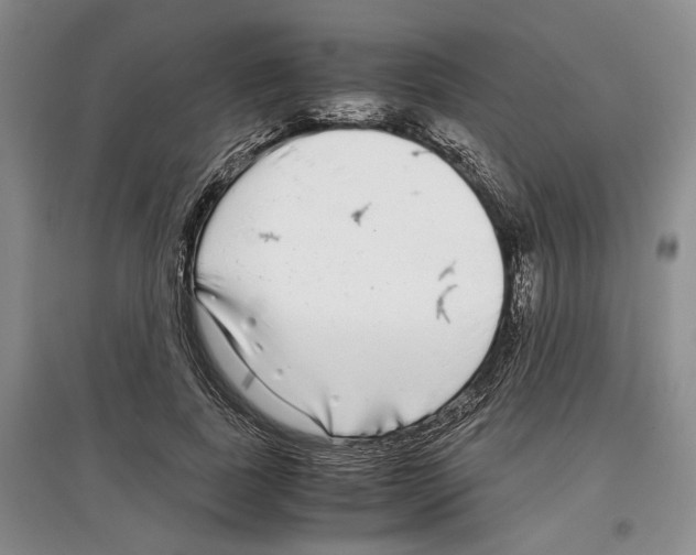 X0000097300739200803141531