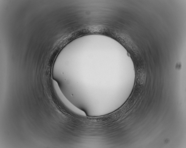 X0000097300740200803141531