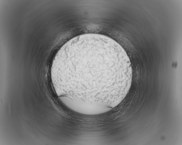 X0000097300742200803141531