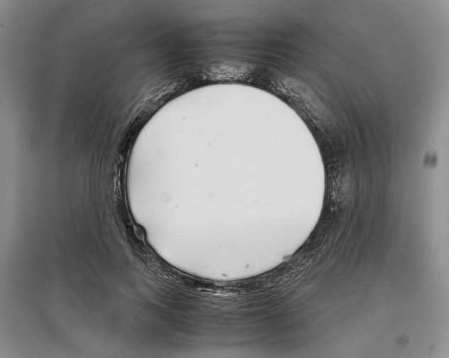 X0000097300743200803141532