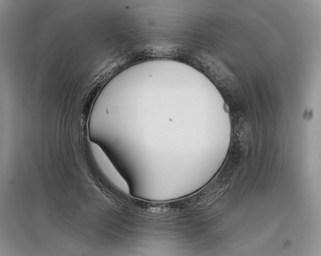 X0000097300744200803141532