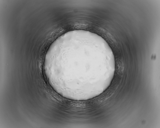X0000097300745200803141532