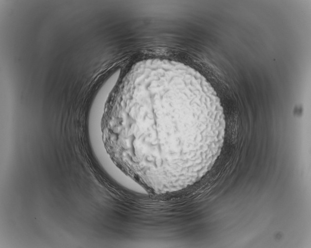 X0000097300747200803141532
