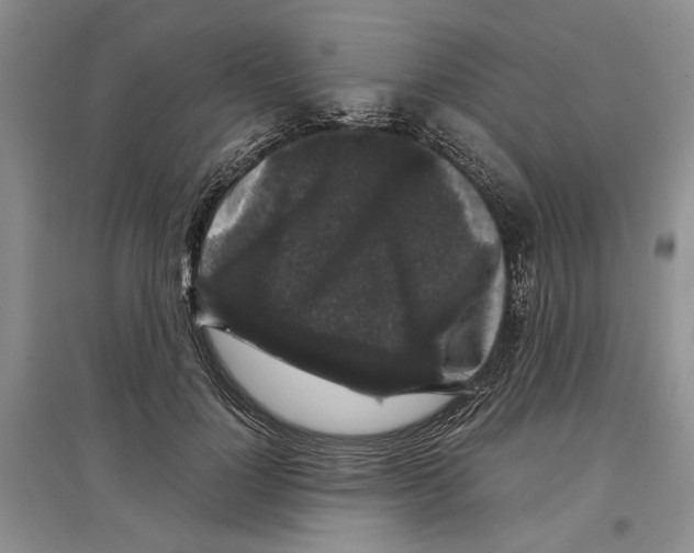 X0000097300748200803141532