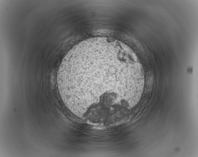 X0000097300749200803141532