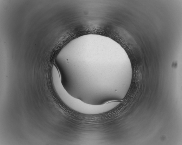 X0000097300750200803141532