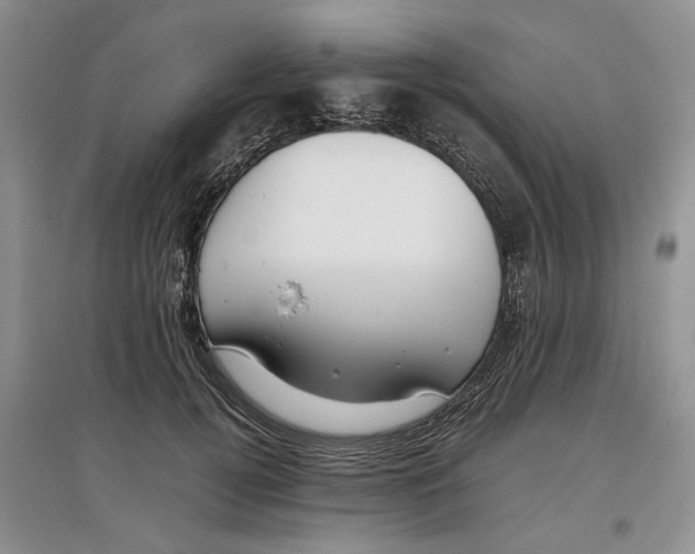 X0000097300752200803141532