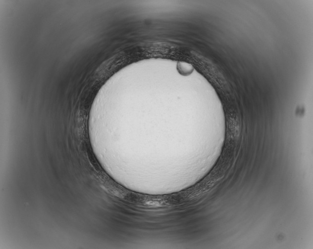 X0000097300753200803141532