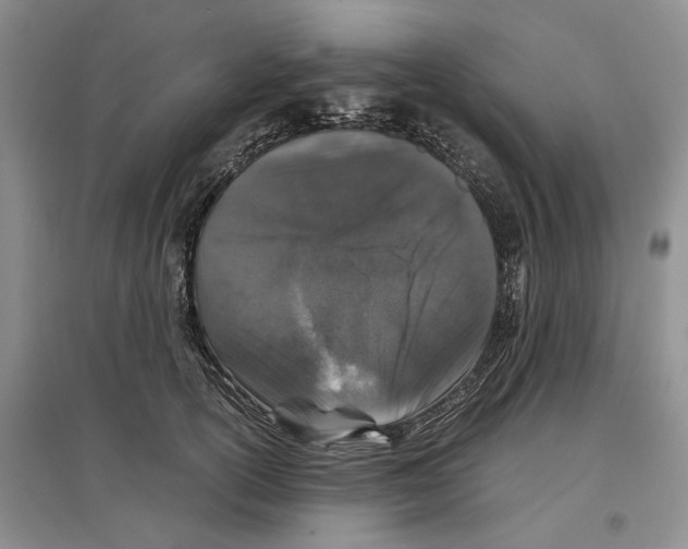 X0000097300754200803141532