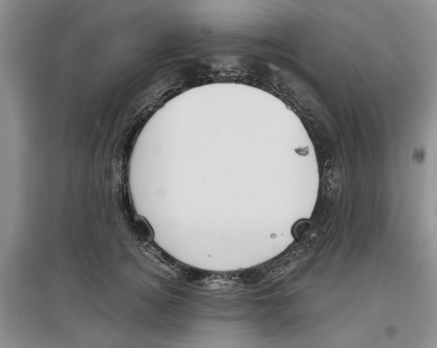 X0000097300756200803141532