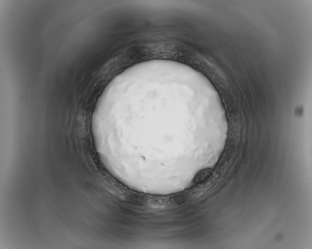 X0000097300757200803141532