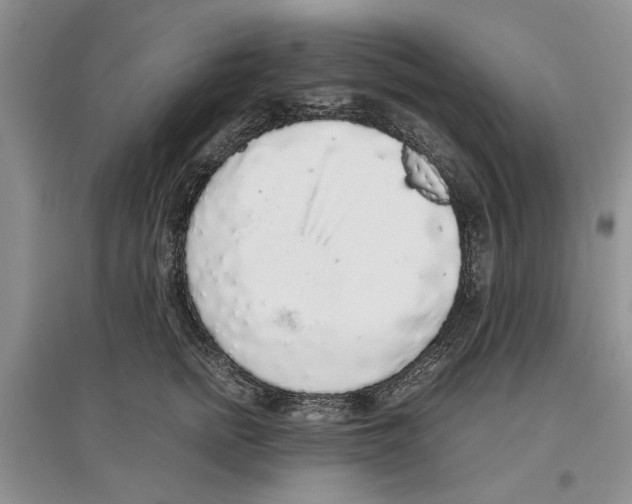 X0000097300758200803141532