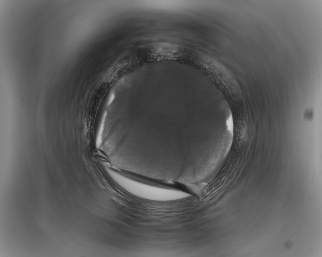 X0000097300759200803141532