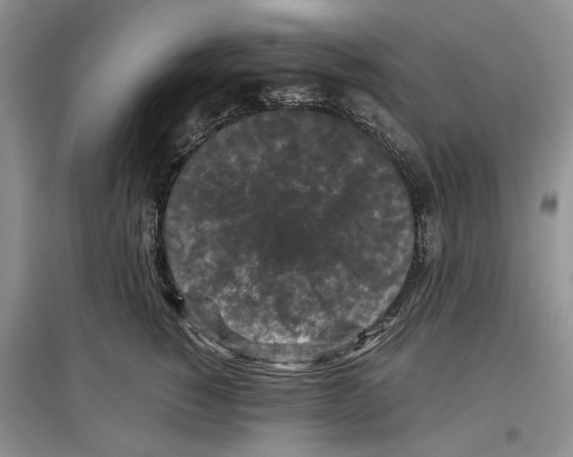 X0000097300760200803141532