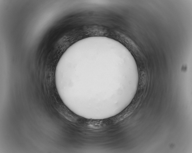 X0000097300761200803141532