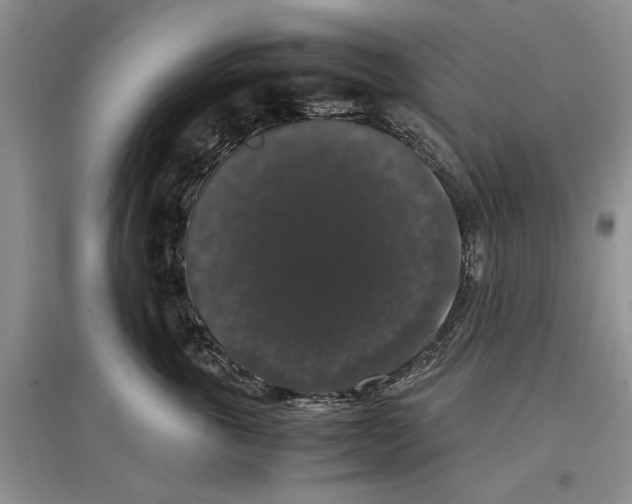 X0000097300763200803141532