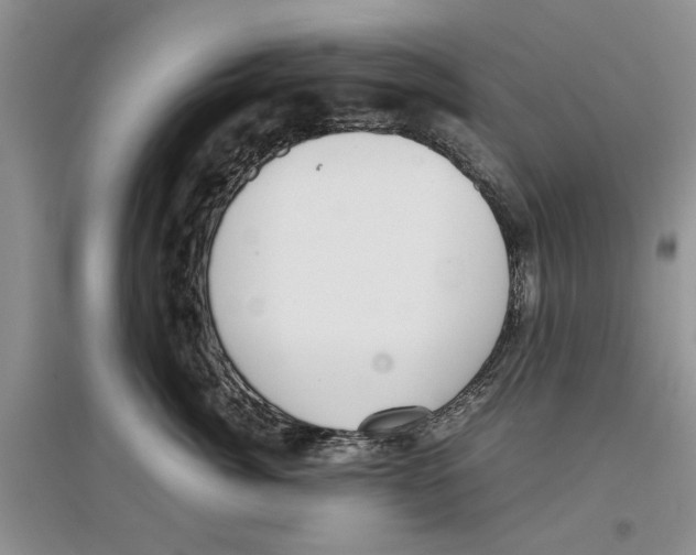 X0000097300764200803141532